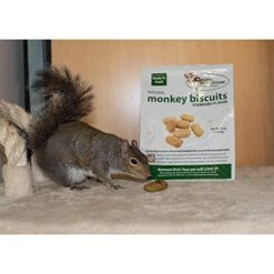 Monkey Biscuits (Standard, 9 Lb.) - Healthy & Crunchy Biscuit Treat For Prairie Dogs, Parrots, Squirrels, Sugar Gliders, Hamsters, Rats, Rodents, Amazons, Macaws, Cockatoos, Birds & Other Small Pets -Pet Care Center 41zvZxeX1JL
