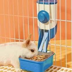 BNOSDM 2 In 1 Rabbit Food Dispenser And Bunny Feeder Bowl Set Rabbit Feeders For Cages Guinea Pig Feeding Dish Pellets For Ferret Chinchilla Hedgehog Small Animals (Green) -Pet Care Center 51 yYGFjoL. AC