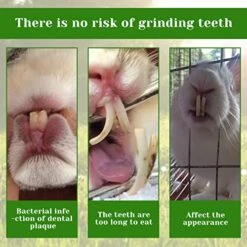 Hamiledyi 72PCS Timothy Hay Sticks Rabbit Chew Toys Mixed Natural Bunny Molar Sticks Guinea Pig Molar Rod Treats For Chinchilla Hamster And Other Small Animals Molars Snack Toys -Pet Care Center 510Bh9AHWnL