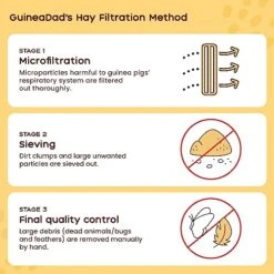 GuineaDad Timothy Hay Bar - Guinea Pig Food - 5 Pack - Pet Food For Rabbits, Small Animals, Hamster Food - Filtered & Hand Packed Guinea Pig Hay - Keeps Hay Secure And Encourages Active Eating -Pet Care Center 510h2RJd5KL
