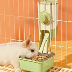 BNOSDM 2 In 1 Rabbit Food Dispenser And Bunny Feeder Bowl Set Rabbit Feeders For Cages Guinea Pig Feeding Dish Pellets For Ferret Chinchilla Hedgehog Small Animals (Green) -Pet Care Center 512ILFimf9L. AC