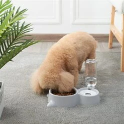 AACARB Cat Water Dispenser, Dog Bowl Detachable Pet Automatic Drinking Water Bottle Double Cat Bowl Not Wet Mouth For Dog Cat Feeding Dishes Pets Supplies (Color : Red) -Pet Care Center 5132HKwrilL