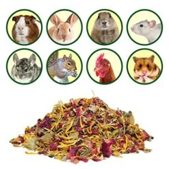 Exotic Nutrition Flower Treat 3 Pack - Healthy Assortment - Hibiscus, Calendula, Rose - For Squirrels, Guinea Pigs, Rabbits, Chinchillas, Prairie Dogs, Degus, Hamster, Gerbils, & Other Herbivores 12 Exotic Nutrition Flower Treat 3 Pack - Healthy Assortment - Hibiscus, Calendula, Rose - For Squirrels, Guinea Pigs, Rabbits, Chinchillas, Prairie Dogs, Degus, Hamster, Gerbils, & Other Herbivores -Pet Care Center 513EIb5NGsL