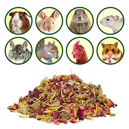 Exotic Nutrition Flower Treat 3 Pack - Healthy Assortment - Hibiscus, Calendula, Rose - For Squirrels, Guinea Pigs, Rabbits, Chinchillas, Prairie Dogs, Degus, Hamster, Gerbils, & Other Herbivores 7 Exotic Nutrition Flower Treat 3 Pack - Healthy Assortment - Hibiscus, Calendula, Rose - For Squirrels, Guinea Pigs, Rabbits, Chinchillas, Prairie Dogs, Degus, Hamster, Gerbils, & Other Herbivores - Image 5