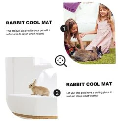 POPETPOP 4 Pcs Rabbit Mat Toys For Guinea Pigs Kitten Toys Guinea Pig Chew Toys Small Animal Grass Mat Small Animal Bedding Hamster Cooling Mat Cooling Grass Mat Natural Pet Bed -Pet Care Center 513JpL3MpZL