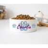 GENERIC Personalized Dog Paw Print Bowl, Dog Name Bowl, Gift For Pets, Ceramic Pet Bowl -Pet Care Center 5165DQTHNjL