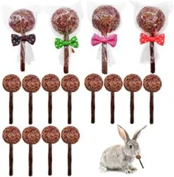 16 Pcs Rabbit Natural Timothy Hay Sticks Guinea Pig Natural Flowers Lollipop Chew Toys Timothy Hay Sticks Wood Molar Toys Small Animal Chew Treats For Bunny Hamsters Chinchillas Gerbils -Pet Care Center 5169c44bawL. AC