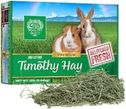 Small Pet Select 2nd Cutting Perfect Blend Timothy Hay Pet Food For Rabbits, Guinea Pigs, Chinchillas And Other Small Animals, Premium Natural Hay Grown In The US, 10 LB -Pet Care Center 517Z2zmSzcL. AC
