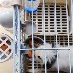 Tfwadmx Rabbit Hanging Auto Food Water Dispenser Pet Cage Suspended Food Water Bowl Chinchilla Gravity Detachable Feeder Waterer Set For Puppy Kitten Bunny Ferrets Guinea Pig (Gray) -Pet Care Center 519m0tVc0JL