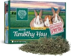 Small Pet Select 3rd Cutting Super Soft Timothy Hay Pet Food For Picky Eaters, Rabbits, Guinea Pigs, And Other Small Animals, Easy To Store Box, 10 LB -Pet Care Center 51ARKcWVnAL. AC