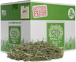 Small Pet Select 1st Cut Timothy Hay Pet Food For Rabbits, Guinea Pigs, And Other Small Animals, Easy To Store Box, 20 LB -Pet Care Center 51BHR9wSPS. AC