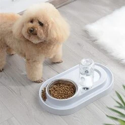 AYENCI Cat Automatic Water, 500ml 2 In 1 Pet Cats Dog Feeder Plastic Pet Dog Food Water Feeder Bowl Food Dispenser Automatic Water Bottle Feeder Pet Product (Color : Gray) -Pet Care Center 51CVo8rSVoL
