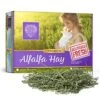 Small Pet Select Alfalfa Hay Pet Food For Young  Rabbits, Guinea Pigs , Chinchillas, Tortoises And Other Small Animals, Easy To Store Box, 5 LB -Pet Care Center 51E0Dyw8hOL