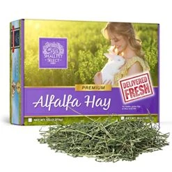 Small Pet Select Alfalfa Hay Pet Food For Young  Rabbits, Guinea Pigs , Chinchillas, Tortoises And Other Small Animals, Easy To Store Box, 5 LB