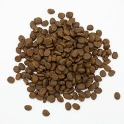 Oxbow Animal Health Essentials Ferret Food - 4 Lb -Pet Care Center 51E80KlunNL