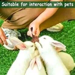16 Pcs Rabbit Natural Timothy Hay Sticks Guinea Pig Natural Flowers Lollipop Chew Toys Timothy Hay Sticks Wood Molar Toys Small Animal Chew Treats For Bunny Hamsters Chinchillas Gerbils -Pet Care Center 51GjQLDGVZL