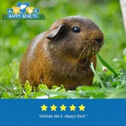 Happy Hearts Total Blend Alfalfa Based Guinea Pig Food Pellets Fortified With Vitamin C (10 Pounds) -Pet Care Center 51GrVXrsahL