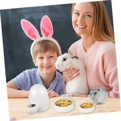 Balacoo 3pcs Animal Drinking Fountain Quail Waterer Hamster Food Dish Food Feeder Rabbit Water Bottle Automatic Rabbit Feeder Cat Food Bowl Ceramics Chinchilla Hamster Supplies -Pet Care Center 51HhmmHpUTL