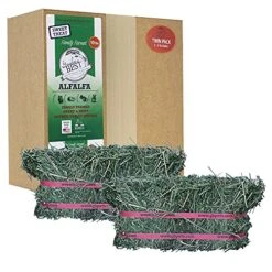 Grandpa's Best ALF10 10 Lb Alfalfa Hay Bale (Packaging May Vary )