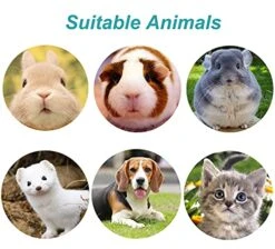 Kathson Rabbit Water Bottle Bunny Food Bowl Hanging Fountain Automatic Dispenser Pet No Leak WaterFeeder Small Animals Drinking Feeder Stainless Steel Dish For Ferret Dog Cats 2PCS -Pet Care Center 51JAkQ0zTXL