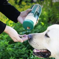 AACARB Cat Water Dispenser, Portable Pet Water Bottle Soft Silicone Leaf Design Travel Dogs Bowl Outdoor Walking Water Bottle Cat Supplies Drinking Device (Color : Green) -Pet Care Center 51LXsUYqEaL 1