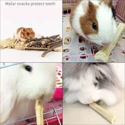 WYOMER 2lb Sweet Bamboo Chew Toy Natural Sweet Bamboo Animals Molar Chew Sticks Toys Pet Snacks Bamboo Sticks Treats -Pet Care Center 51MDqdPvHAL