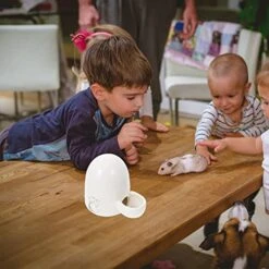 NOGRAX Bird Accessories Hamster Water Feeder Automatic Pet Waterer Feeder Ceramic Small Animal Bowl Pet For Hamster Hedgehog Chinchilla Guinea Pig Hamster Accessories Feeder -Pet Care Center 51MZTMUsdFL