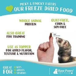 Raw Paws Freeze Dried Raw Ferret Food, Beef 16-oz - Made In USA - Premium, Grain Free Ferret Diet For Small, Adult, Senior & Baby Ferrets - Also Use As Natural Ferret Treats For Rewarding & Training -Pet Care Center 51MjyG8GMXL