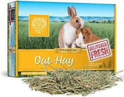 Small Pet Select Oat Hay Pet Food, 10 Lb. -Pet Care Center 51N8rxviytL. AC