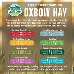 Oxbow Animal Health Meadow Hay - All Natural Hay For Rabbits, Guinea Pigs, Chinchillas, Hamsters & Gerbils - 40 Oz. -Pet Care Center 51NVAbIyQ1L