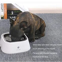 AYENCI Cat Automatic Water, Dog Drinking Bowls Floating Dog Anti-drip Drinker Automatic Feeder Portable Bottle Pet Water Dispenser Dogs Accessories (Color : Gray) -Pet Care Center 51PHo0PkClL