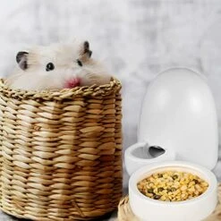 POPETPOP Squirrel Food 3pcs Hamster Drinking Water Feeder Ceramics Pet Dispenser Automatic Waterer Feeder Cage Food Bowl For Hedgehog Chinchilla Ferret Guinea Pig Rabbit Gerbil Rabbit Food