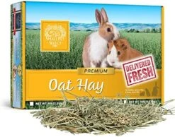Small Pet Select Oat Hay Pet Food, 10 Lb. -Pet Care Center 51Q9lgqphL. AC