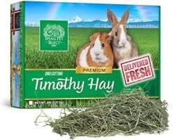 Small Pet Select 2nd Cutting Perfect Blend Timothy Hay Pet Food For Rabbits, Guinea Pigs, Chinchillas And Other Small Animals, Premium Natural Hay Grown In The US, 10 LB -Pet Care Center 51QSWhOrdgL. AC 1