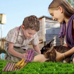 Hamiledyi 72PCS Timothy Hay Sticks Rabbit Chew Toys Mixed Natural Bunny Molar Sticks Guinea Pig Molar Rod Treats For Chinchilla Hamster And Other Small Animals Molars Snack Toys -Pet Care Center 51RLazMS5IL