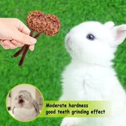 16 Pcs Rabbit Natural Timothy Hay Sticks Guinea Pig Natural Flowers Lollipop Chew Toys Timothy Hay Sticks Wood Molar Toys Small Animal Chew Treats For Bunny Hamsters Chinchillas Gerbils -Pet Care Center 51SAkynCbTL