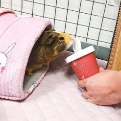 GuineaDad Organic Guinea Pig Herbal Treats - Guinea Pig Food With Convenient Packaging - Raspberry Leaf Flavor - 2-oz - Guinea Pig Treats Help With Bonding - High In Nutrition And Fiber - Large -Pet Care Center 51TSbSVmaHL