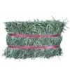 Grandpa's Best Timothy Hay Mini Bale, 10 Lbs (Packaging May Vary),Brown -Pet Care Center 51TtkzzWk0S
