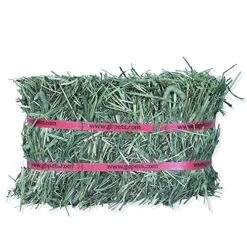 Grandpa's Best Timothy Hay Mini Bale, 10 Lbs (Packaging May Vary),Brown