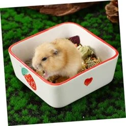 PATKAW 2pcs Ceramic Bowl Water Bottle Dispenser Puppies Supplies Rabbit Food Bowl Strawberry Bowl Small Animal Feeding And Watering Supplies Reptile Food Dish Small Dog Food Bowls To Feed -Pet Care Center 51UYR9g6QrL