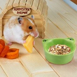 POPETPOP Rodent Hamsters Animal Feeder Water Rats Gerbil Pet Food Gerbils Pig Pigeons Hamster Reptile Dish Xxcm Frag Kitten Frog Ceramics Basin Shape Animals Green Hedgehog Small For -Pet Care Center 51Uh6bLDKmL