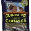 Hagen Guinea Pig Pellets Food, 5-Pound -Pet Care Center 51UyLJBSsRL