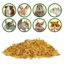 Calendula Flower Treat (4 Oz.) - Healthy Natural Dried Flower Herbivore Treat - Chinchillas, Guinea Pigs, Rabbits, Prairie Dogs, Degus, Hamsters, Rats, Squirrels, Sugar Gliders & Other Small Pets -Pet Care Center 51XEAlWwHaL