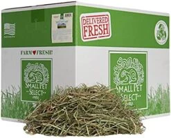 Small Pet Select 3rd Cutting Super Soft Timothy Hay Pet Food For Picky Eaters, Rabbits, Guinea Pigs, And Other Small Animals, Easy To Store Box, 10 LB -Pet Care Center 51XSOterE1S. AC