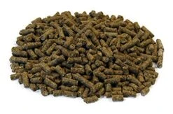 Happy Hearts Total Blend Alfalfa Based Guinea Pig Food Pellets Fortified With Vitamin C (10 Pounds) -Pet Care Center 51a7EPKTvKL
