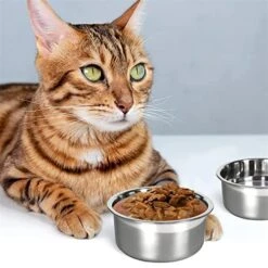 AYENCI Cat Automatic Water, Dog Kennel Stainless Steel Bowls No Spill Hanging Cage Box Water Food Pet Feeder Cat Puppy Feeding Easy To Install (Size : M) -Pet Care Center 51aKwknSWTL