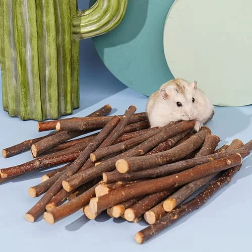 XLpeixin Apple Sticks Natural Chew Toys And Treats For Chinchilla Guinea Pig Hamster Gerbil Rabbit Chew Toys For Teeth,Chew Sticks For Rabbits (Thin 600g-21oz)… 4 XLpeixin Apple Sticks Natural Chew Toys And Treats For Chinchilla Guinea Pig Hamster Gerbil Rabbit Chew Toys For Teeth,Chew Sticks For Rabbits (Thin 600g-21oz)… - Image 2