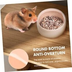 Balacoo Hamster Food Dish Small Small Animal Food Water Bowl: Beautiful S, Polished And Smooth, And The Workmanship Is Fine, Good Choices As Cage Decorations. -Pet Care Center 51cb8iPAumL