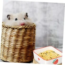 PATKAW 2pcs Ceramic Bowl Water Bottle Dispenser Puppies Supplies Rabbit Food Bowl Strawberry Bowl Small Animal Feeding And Watering Supplies Reptile Food Dish Small Dog Food Bowls To Feed -Pet Care Center 51hH45MrFuL