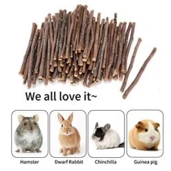 CHUHUAYUAN Natural Apple Sticks, 500g Treats Food For Small Animals, Chew Toys For Chinchilla Guinea Pigs Rabbit Squirrel Hamster Bunny -Pet Care Center 51hJvsuY48L